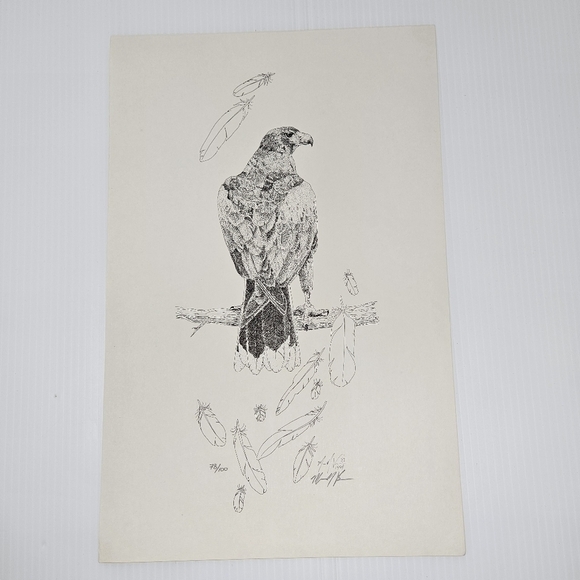 Harris Hawk Bird Art Prints Numbered & Artist Signed Wildlife Set Of 3 - Picture 16 of 16